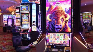 in play live বাংলাদেশে রেজিস্ট্রেশন করুন এবং বোনাস পান